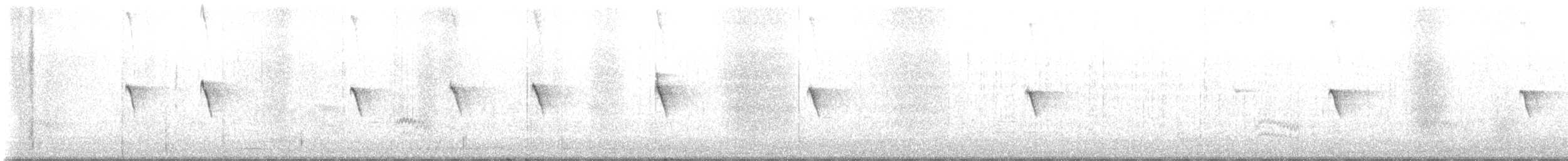 Black Phoebe - ML643607374