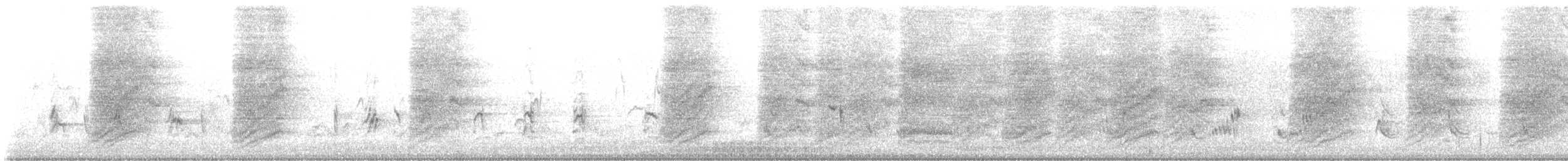 California Scrub-Jay - ML643607501