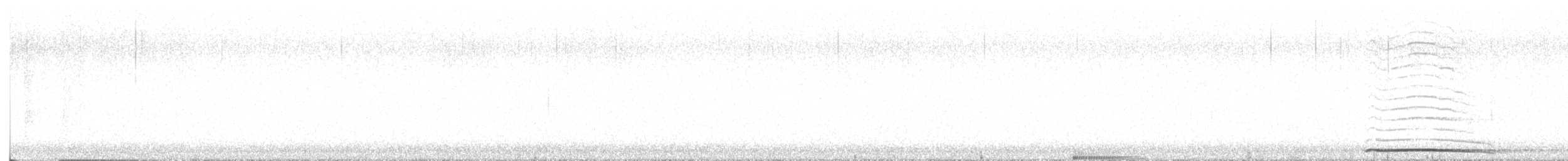 Chouette hulotte - ML643607537