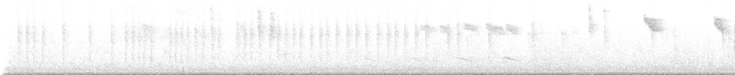 Allen's Hummingbird - ML643607620