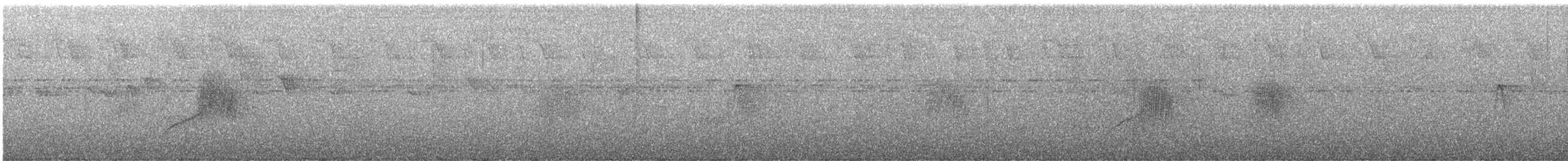 Moucherolle à longs brins - ML643608035