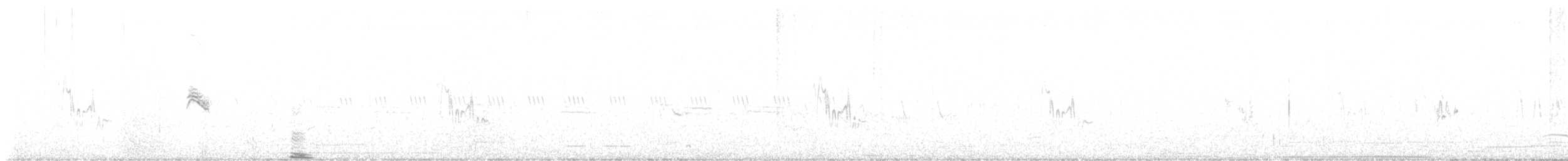 Australian Pipit - ML643608133