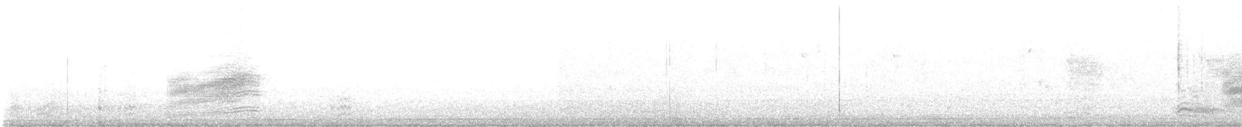 Пятнистый тохи - ML643608165