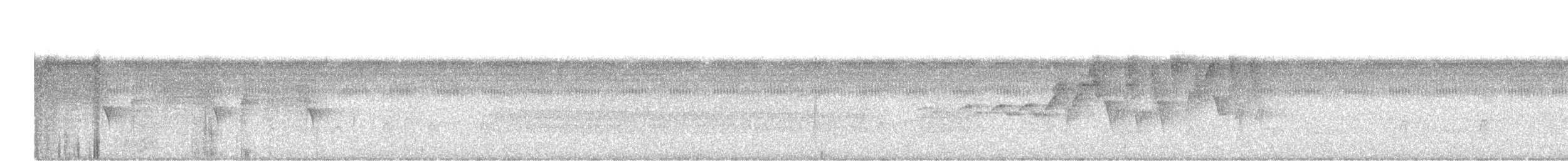 Klages's Antbird - ML643608314