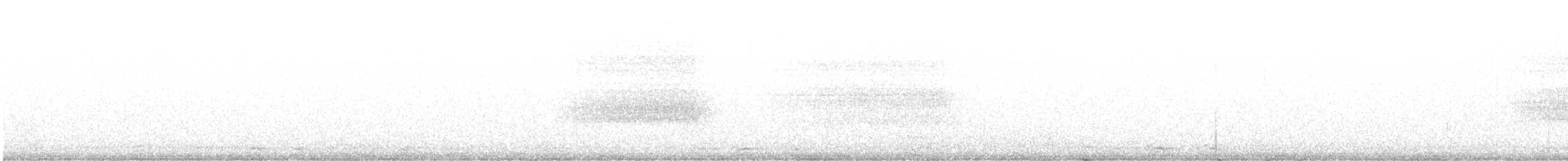 Western Barn Owl - ML643609862