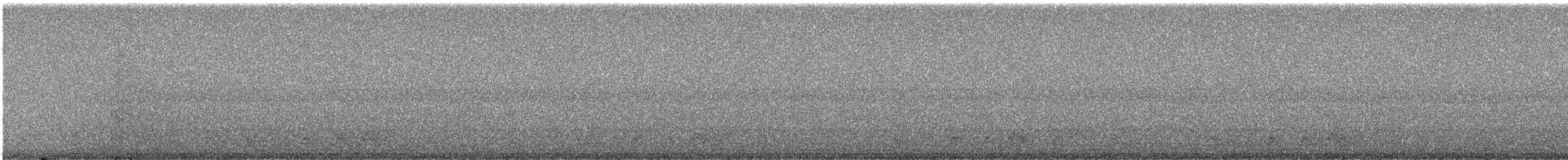 アカヨタカ - ML643610022