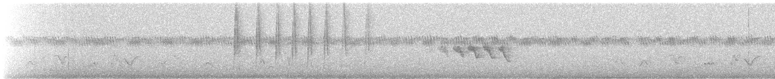 Black-throated Gray Warbler - ML643611937