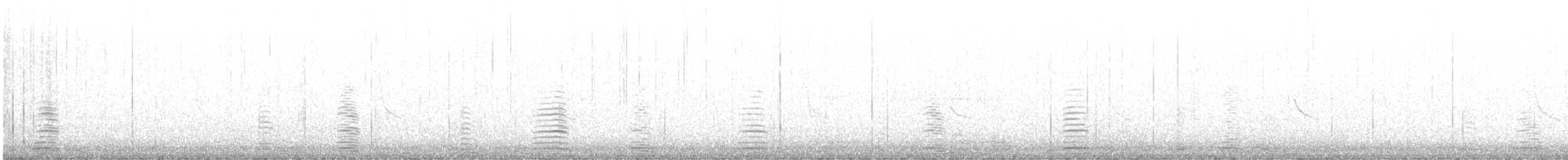 Plectrophane lapon - ML643613524