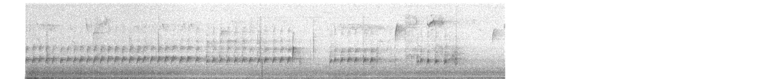 Carolina Wren - ML643613561