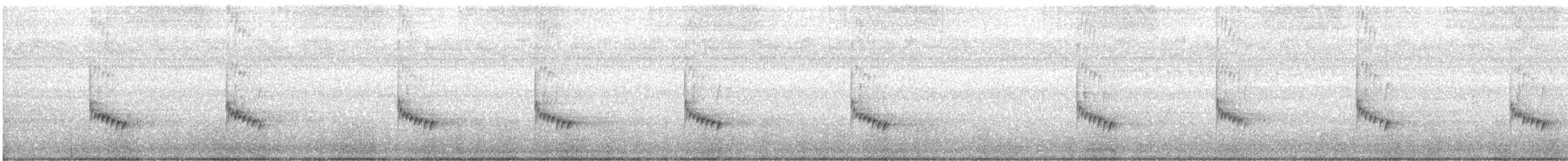 Carolina Wren - ML643613582