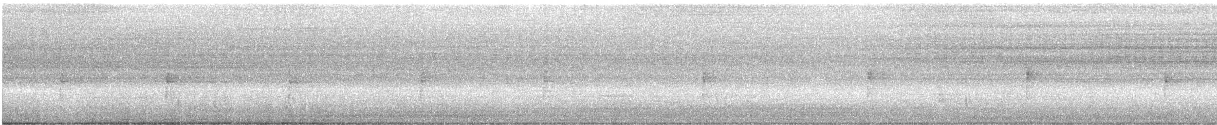 Northern Waterthrush - ML643613613