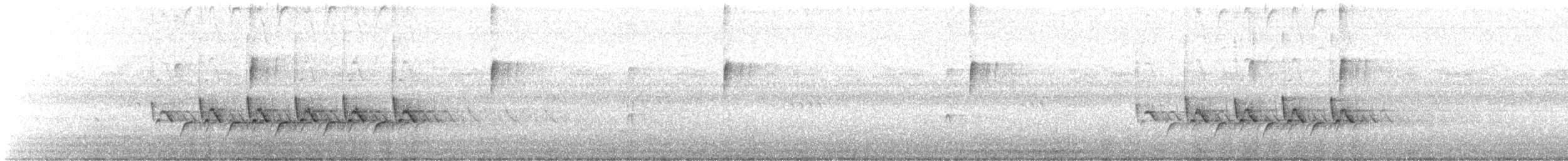 Carolina Wren - ML643613732