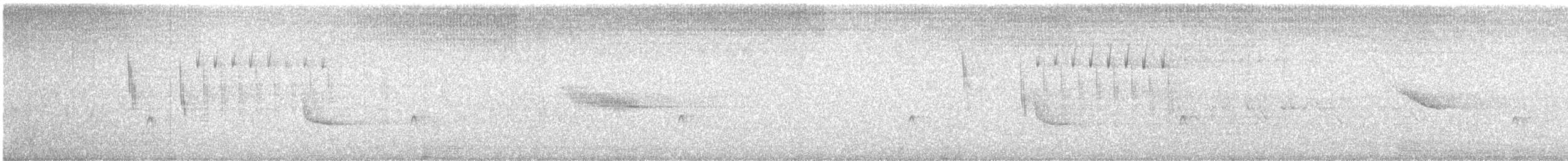Sedge Wren - ML643614147