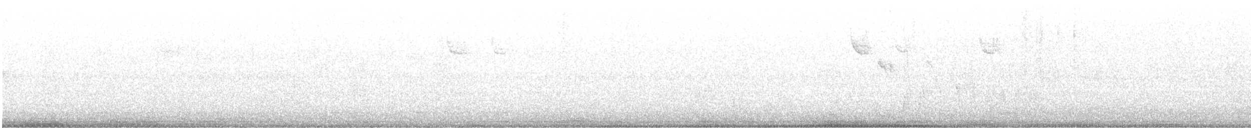 White-throated Sparrow - ML643614840