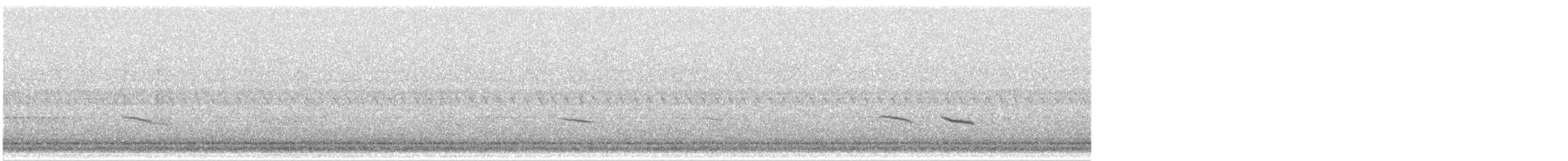 Hermit Thrush - ML643614944