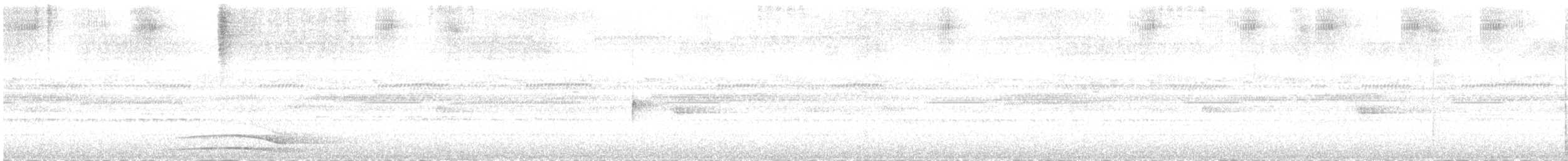 Black-and-white Owl - ML643616698