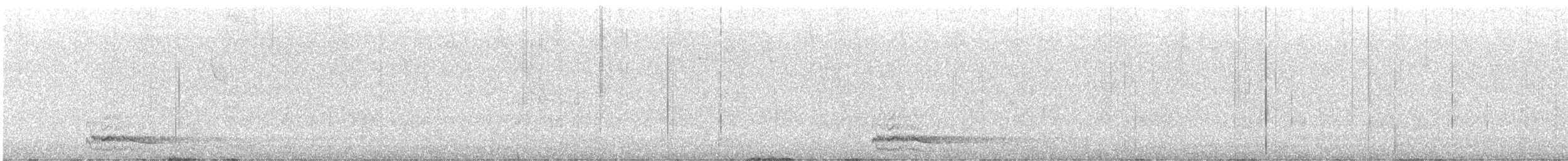 Pied Currawong - ML643616951