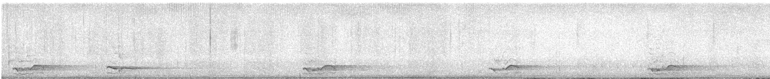 Pied Currawong - ML643617203