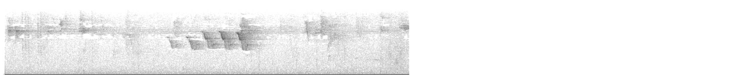 skiferhvitstjert - ML643619286