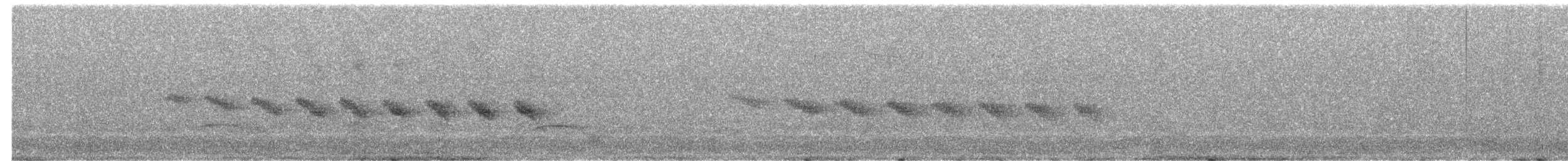 Star-throated Antwren - ML643620137