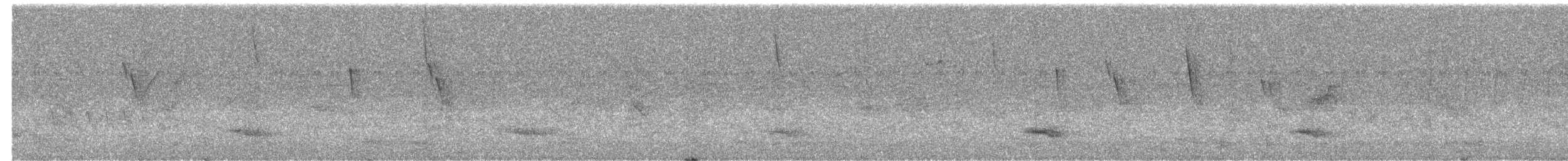 Channel-billed Toucan - ML643620189