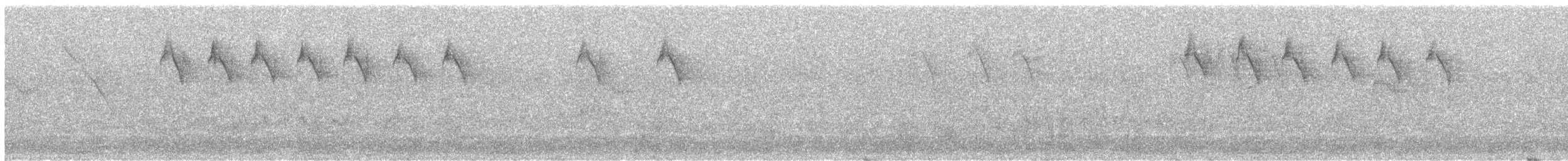 White-chinned Sapphire - ML643620211