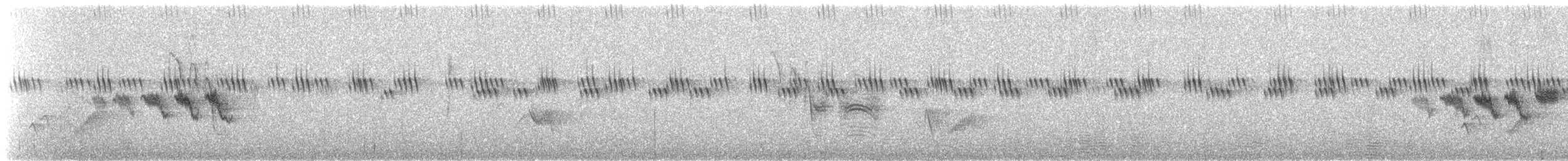 Black-throated Gray Warbler - ML643621028