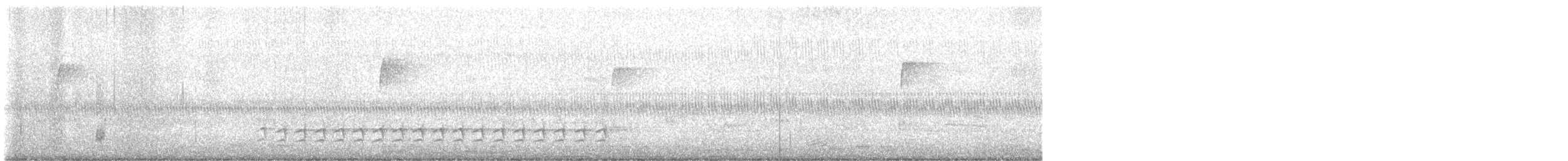 Sittelle à poitrine blanche (carolinensis) - ML643621869