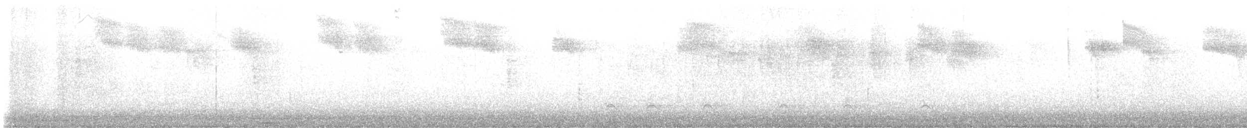 Allen's Hummingbird - ML643624084