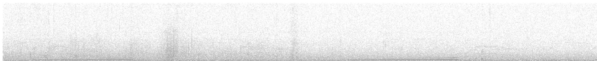 チャバラアメリカジカッコウ - ML643624198