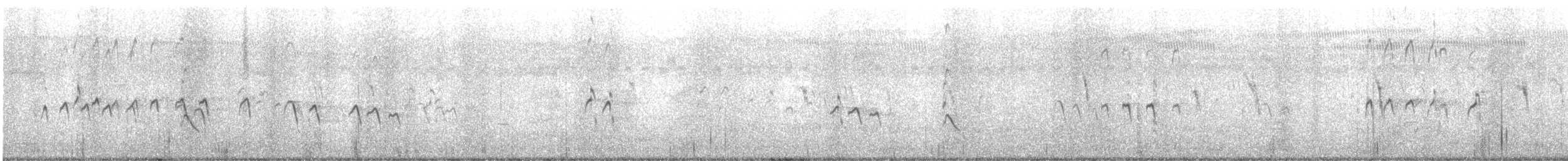 Bruchwasserläufer - ML643624294