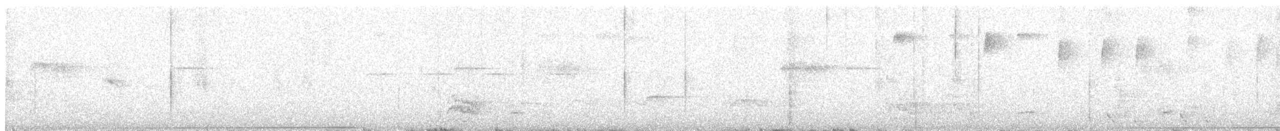 チャバラアメリカジカッコウ - ML643624793