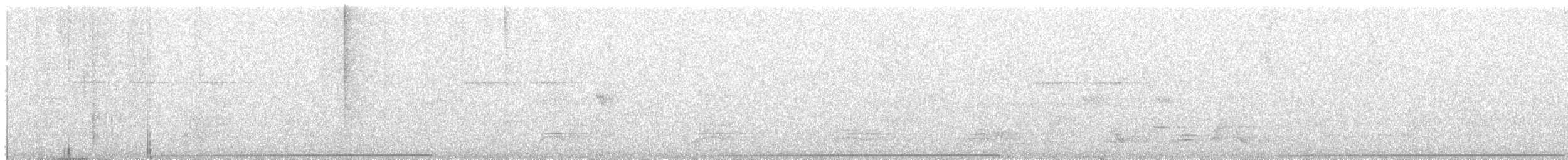 チャバラアメリカジカッコウ - ML643624865