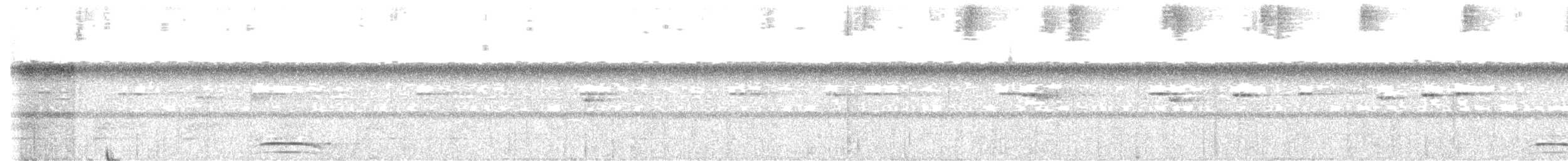 Collared Forest-Falcon - ML643625647