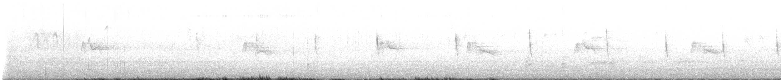 Black Phoebe - ML643626700
