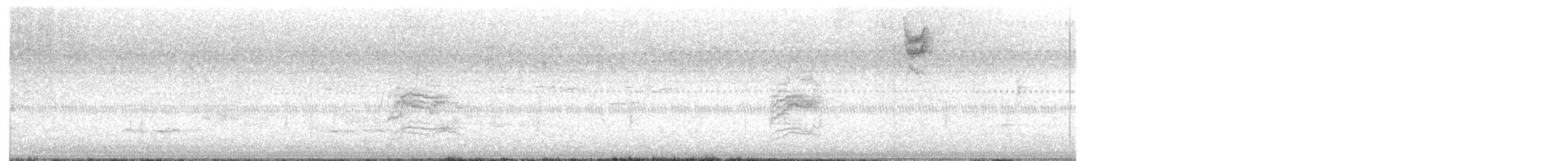 Hermit Thrush - ML643627347