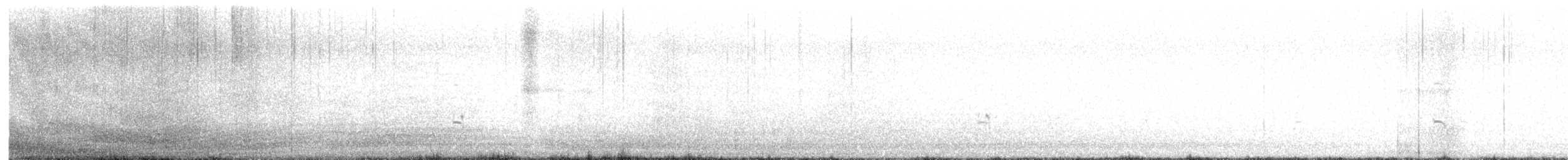 American Avocet - ML643627492