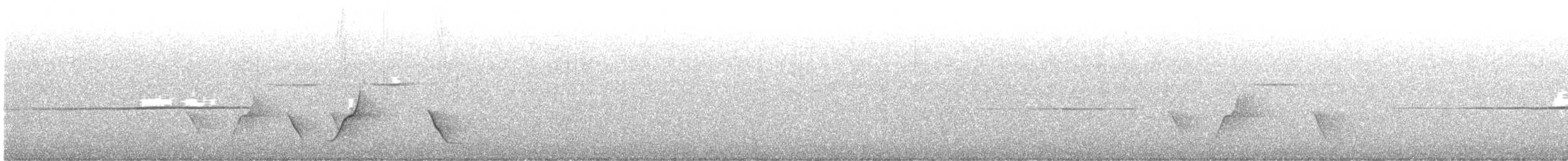 Olive Whistler - ML643629285