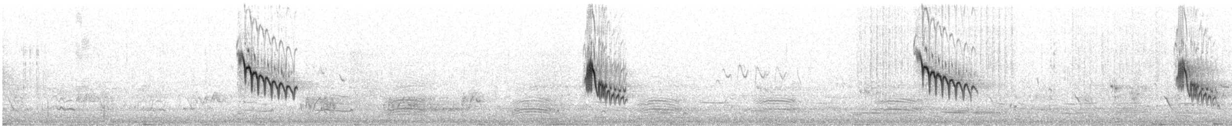 Australian Pipit - ML643629819