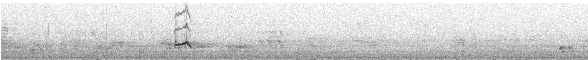 Black-eared Cuckoo - ML643629859