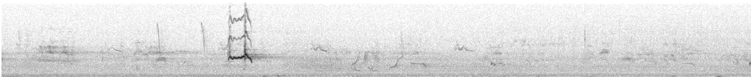 Black-eared Cuckoo - ML643629860