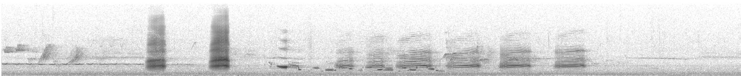 Gesellschaftskrähe - ML643629892