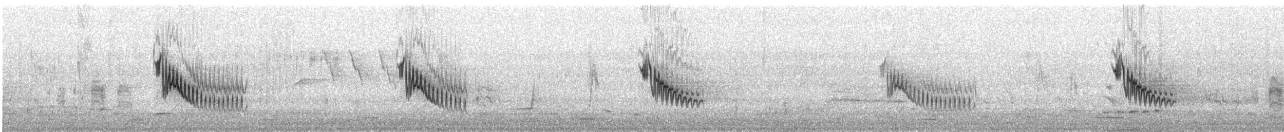 Australian Pipit - ML643629905