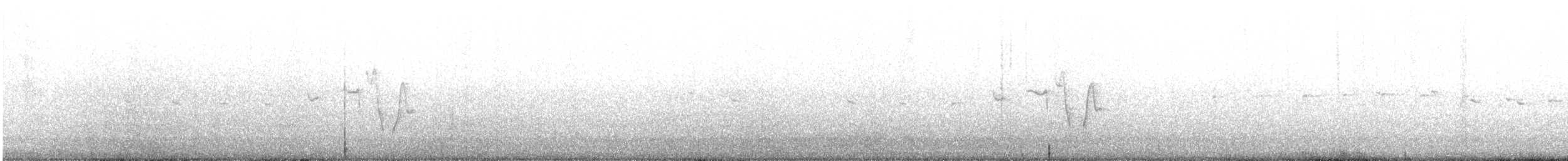 Rufous Bristlebird - ML643631856