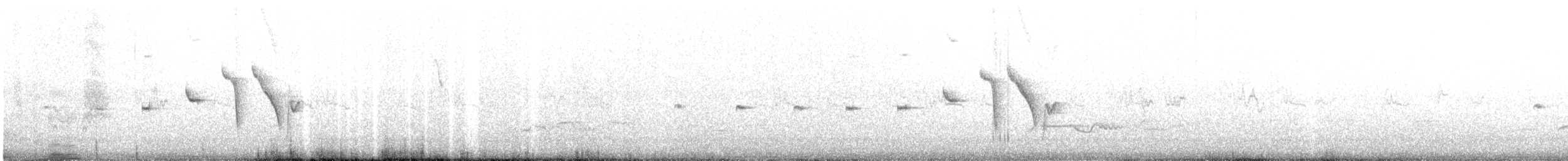 Rufous Bristlebird - ML643631857