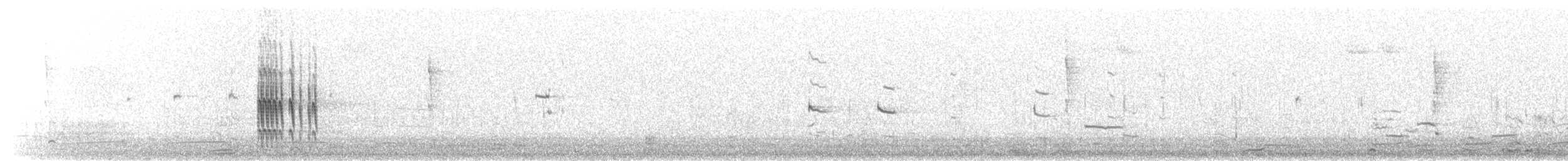Belted Kingfisher - ML643632545