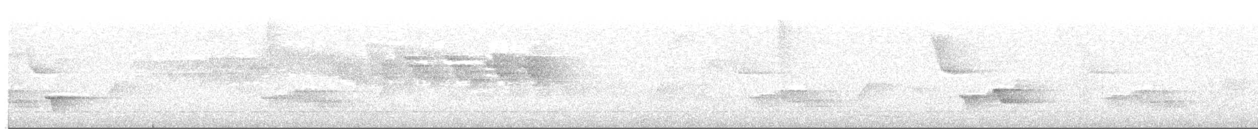 Schwartz Karıncaardıcı - ML643634016