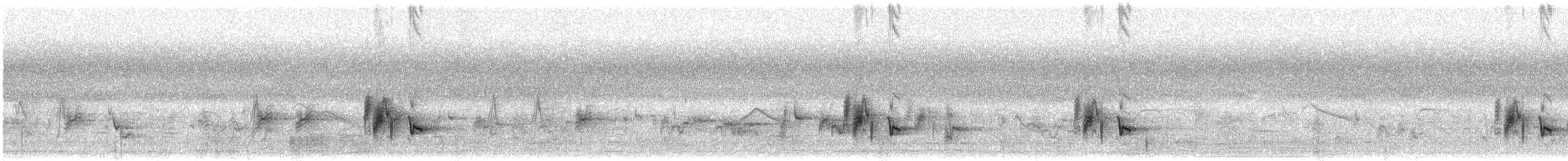 ホオジロヒヨドリ - ML643634051