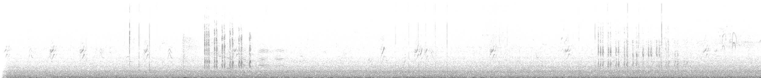 Belted Kingfisher - ML643634073