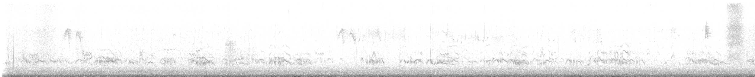 Elegant Tern - ML643634234